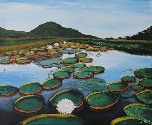 Amazon Water Lilies Original Acrylic Painting on Stretched Canvas