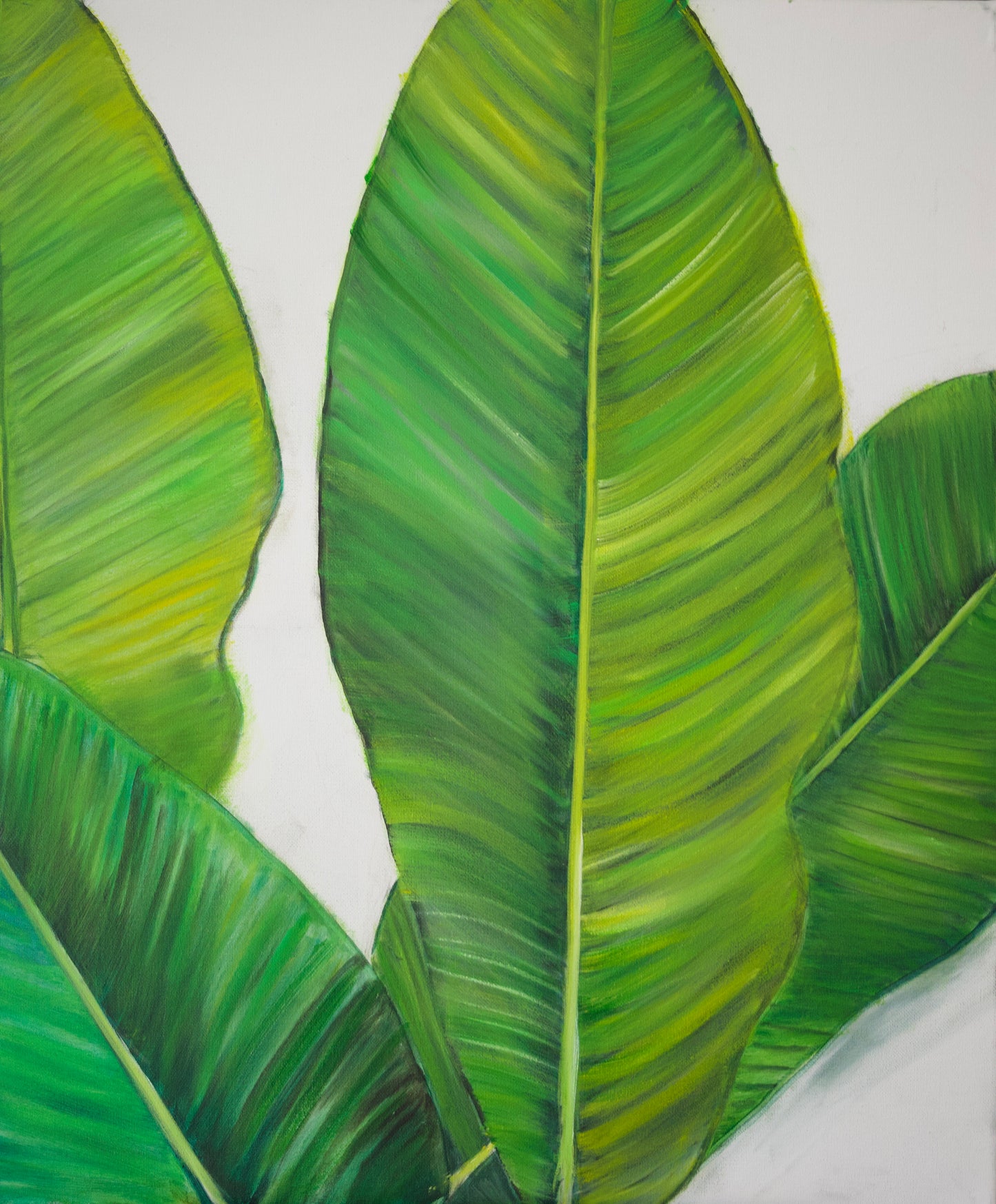 Banana Leaves Original Oil Painting  on 20x24 Canvas Panel